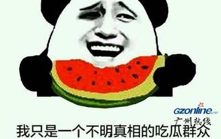 娱乐吃瓜酱专属梗是什么,网络热词背后的趣味与智慧